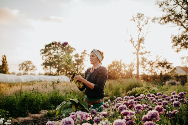 pluktuin-bloemen-zaaien-opleiding-workshop