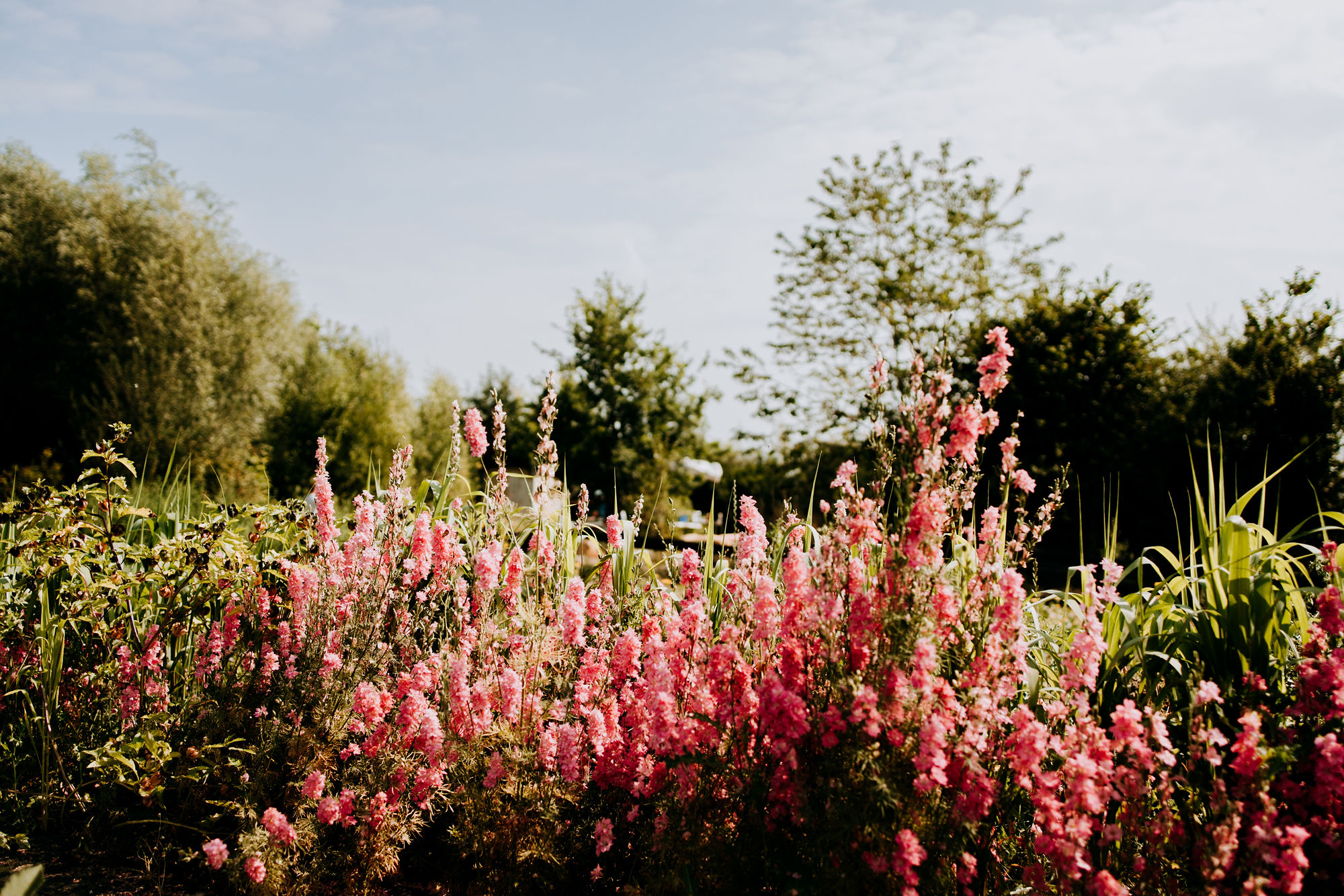 pluktuin-bloementuin-workshop
