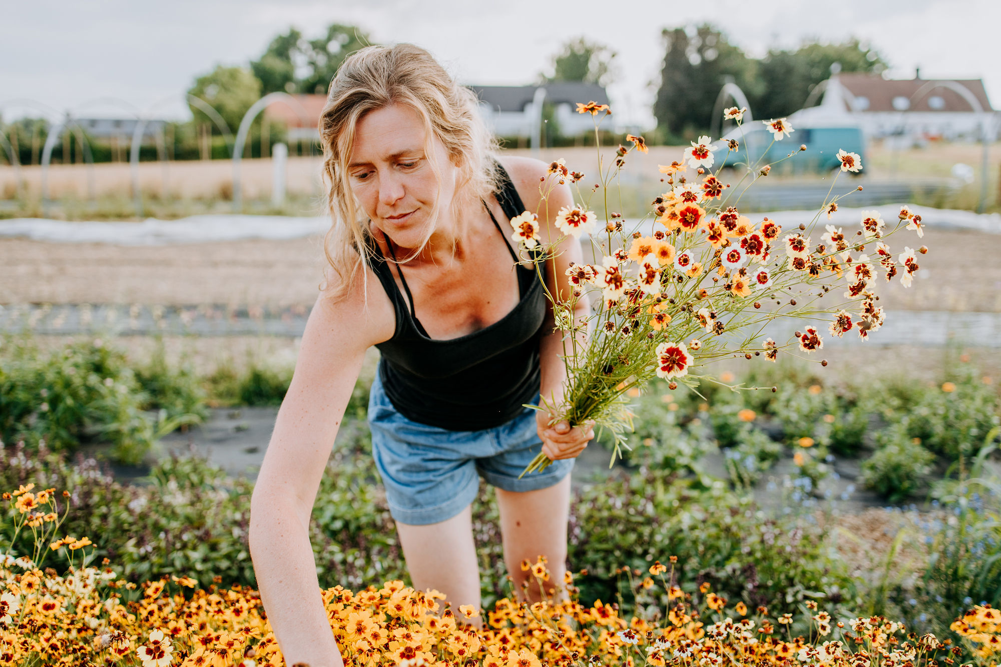 Lent-bio-biologische-bloemen-veldbloemen
