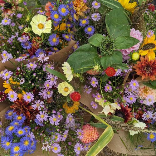Lent Slowflowers bio bloemenveld Lent is een bio bloemenveld. De