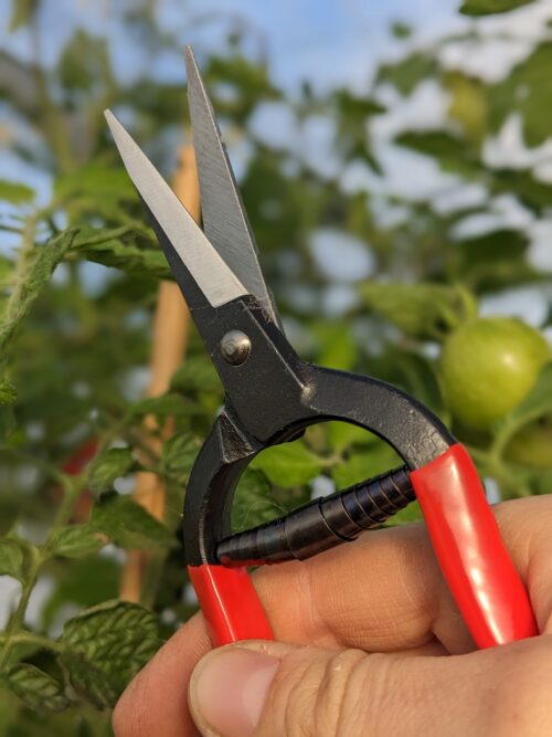 Niwaki gesmede tuinschaar - Afbeelding 3
